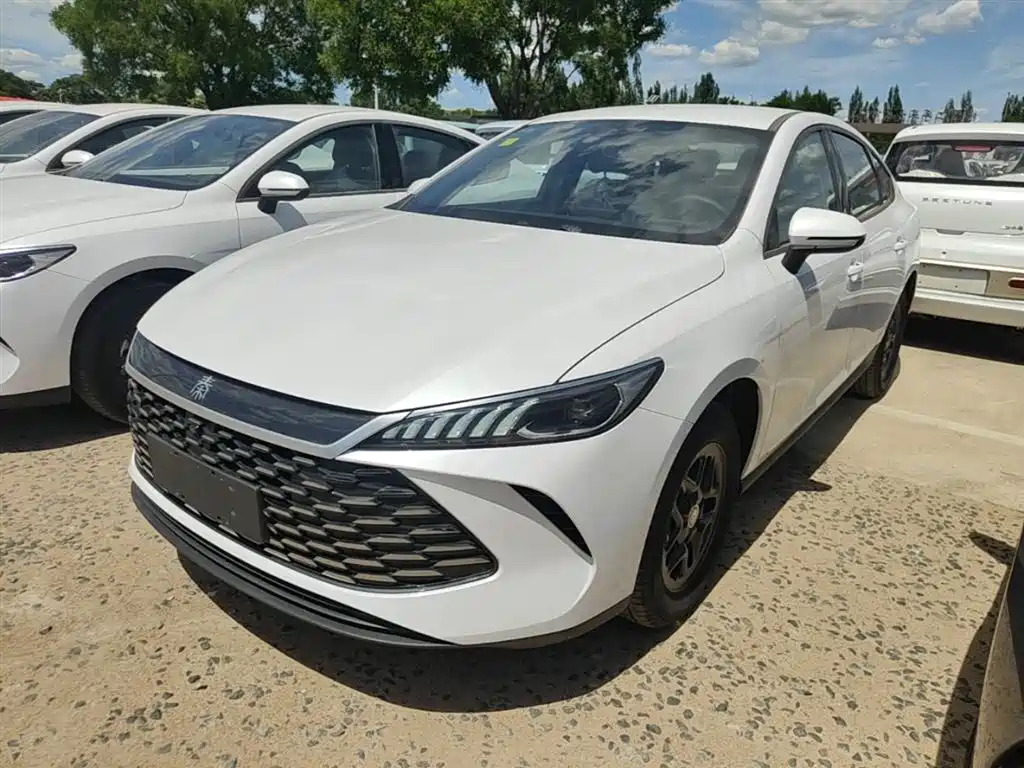 BYD Qin PLUS — фото 2