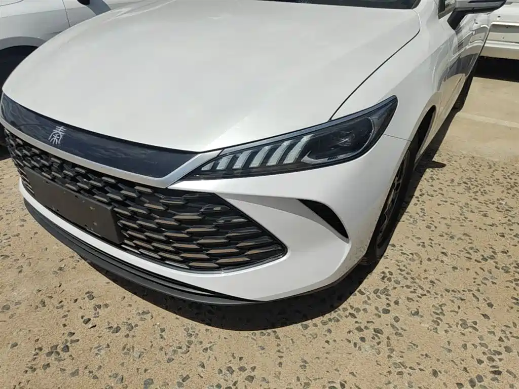 BYD Qin PLUS — фото 24