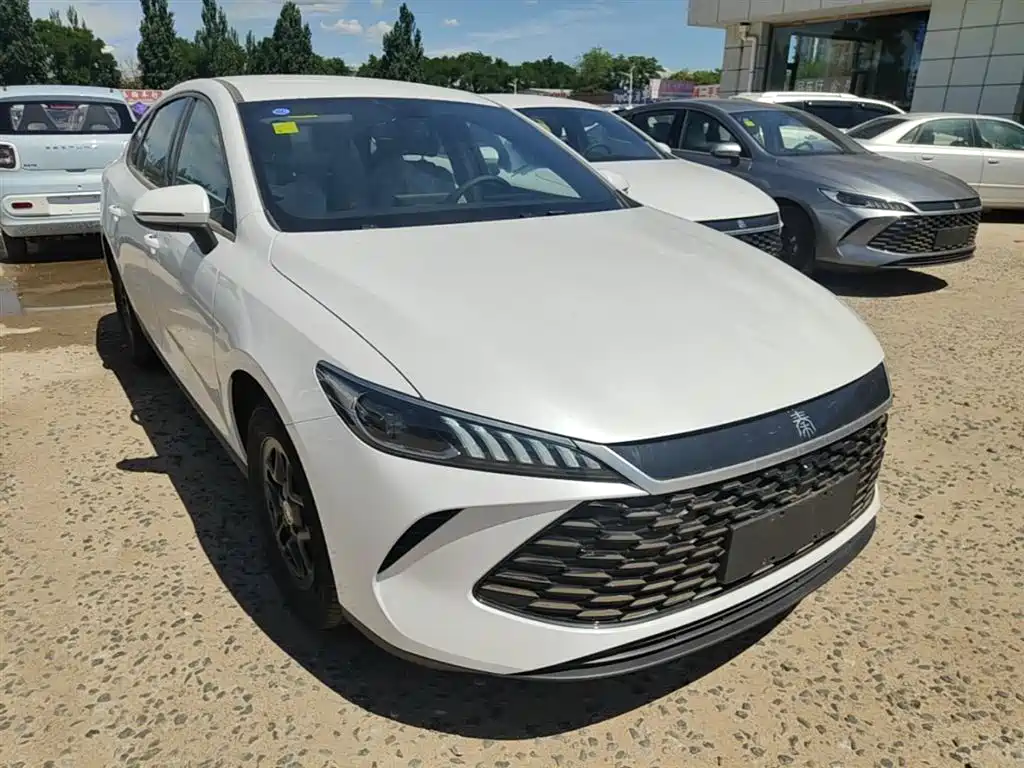 BYD Qin PLUS — фото 4