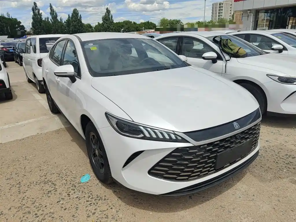 BYD Qin PLUS — фото 4