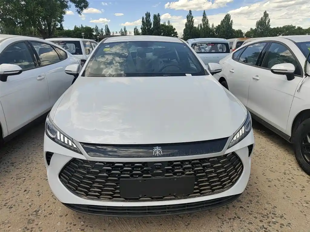 BYD Qin PLUS — фото 3