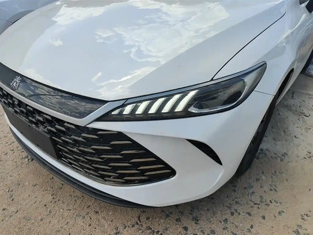 BYD Qin PLUS — фото 24