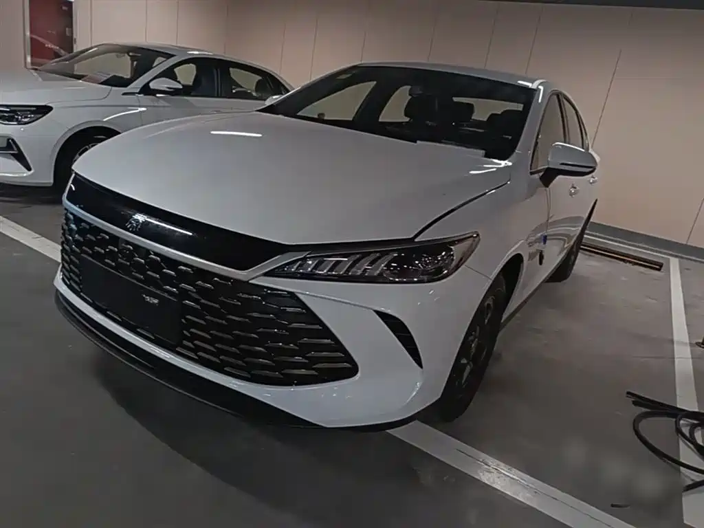 BYD Qin PLUS — фото 2