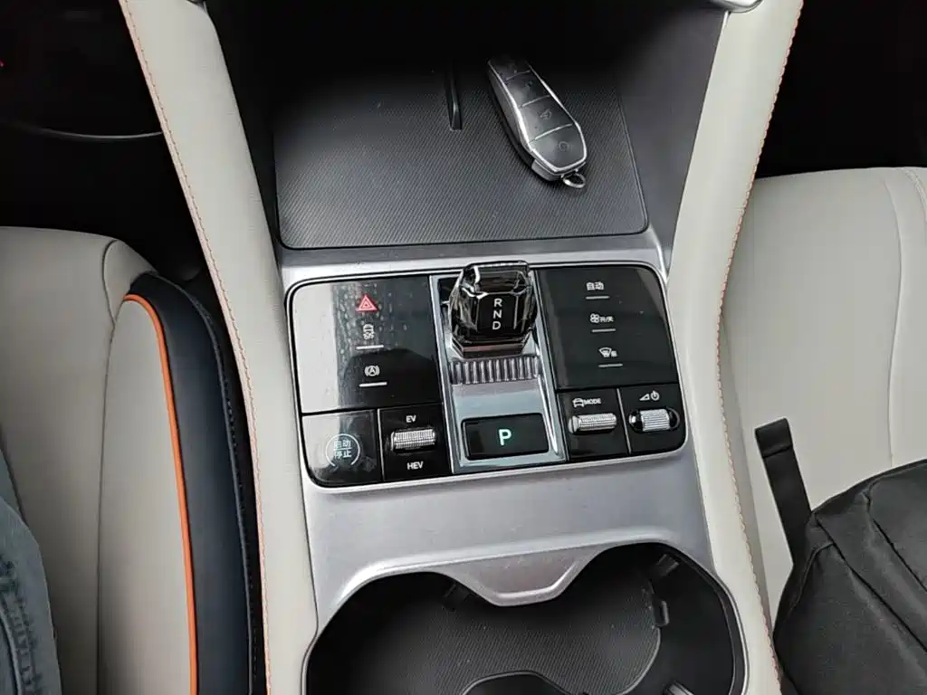 BYD PLUS New Energy — фото 14