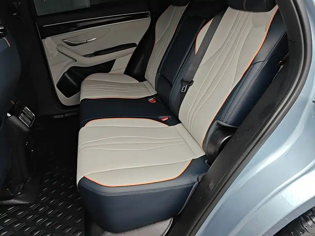 BYD PLUS New Energy — фото 17