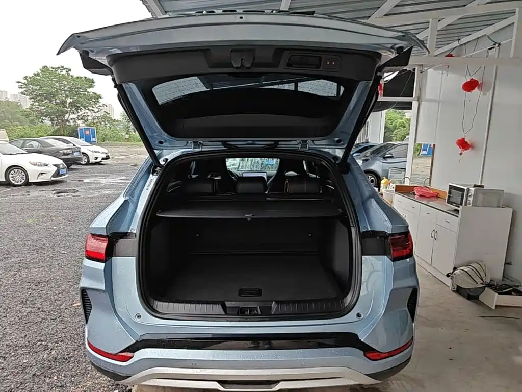 BYD PLUS New Energy — фото 19