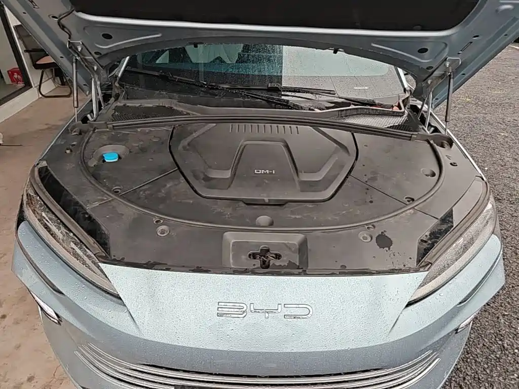 BYD PLUS New Energy — фото 20