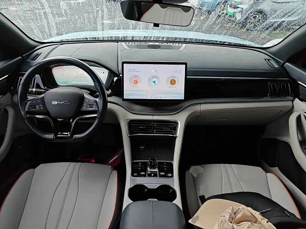 BYD PLUS New Energy — фото 10