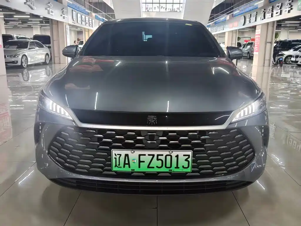 BYD Qin PLUS — фото 2