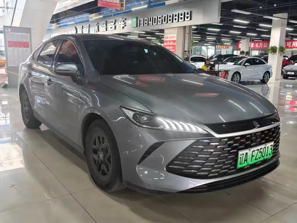 BYD Qin PLUS — фото 3