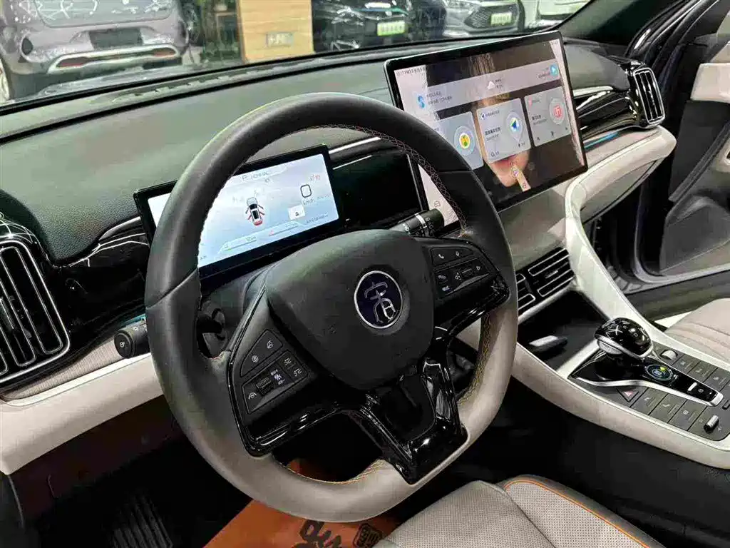 BYD Pro New Energy — фото 14