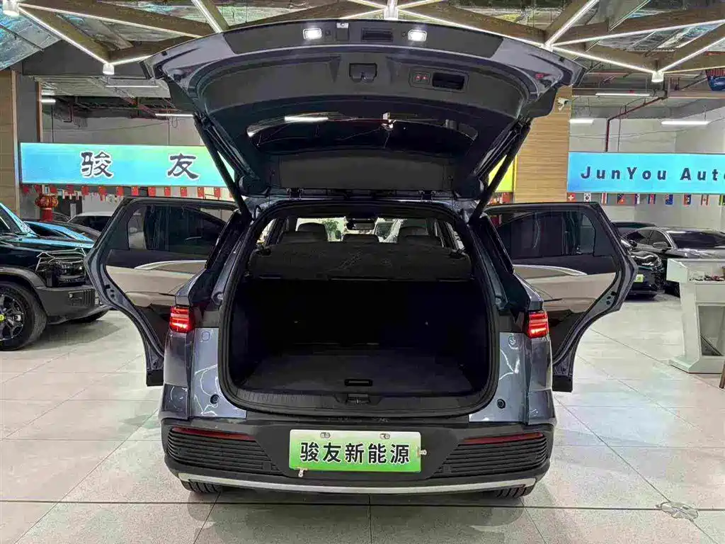 BYD Pro New Energy — фото 15