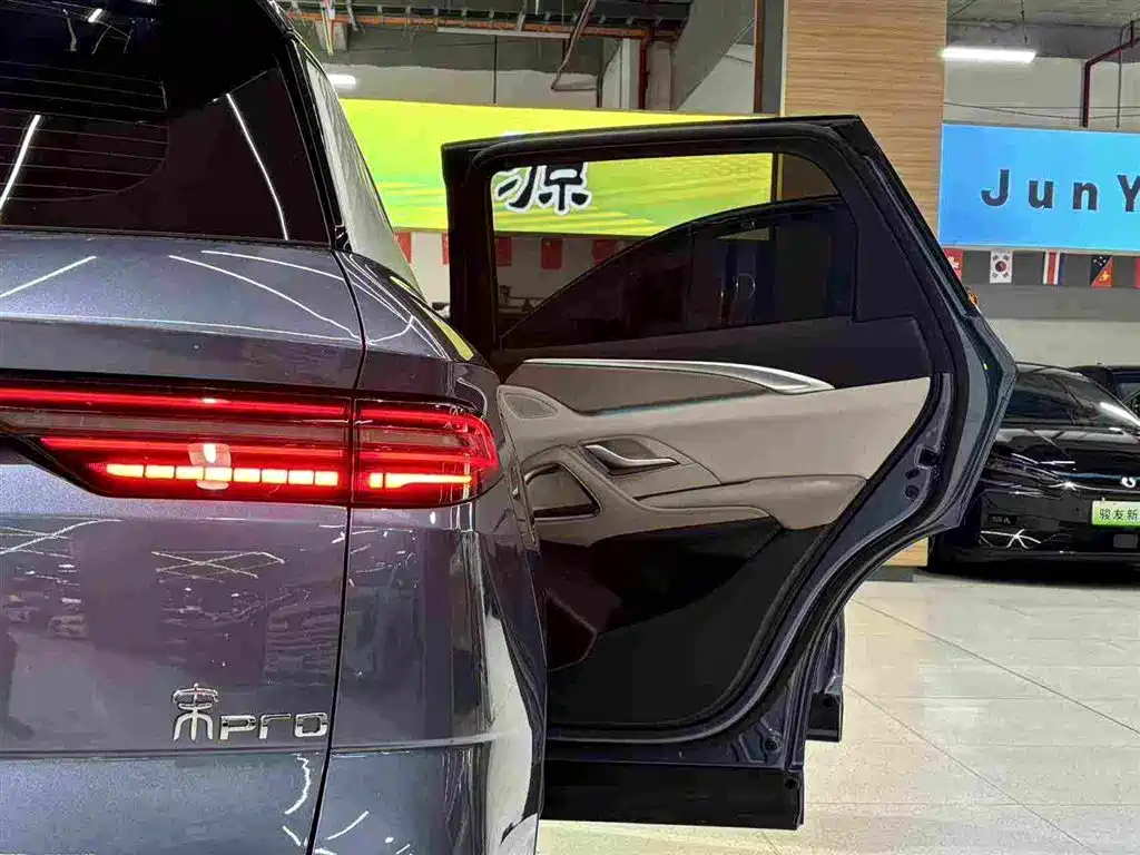 BYD Pro New Energy — фото 18