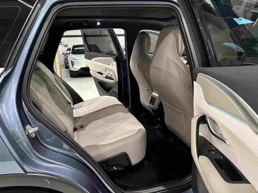 BYD Pro New Energy — фото 19