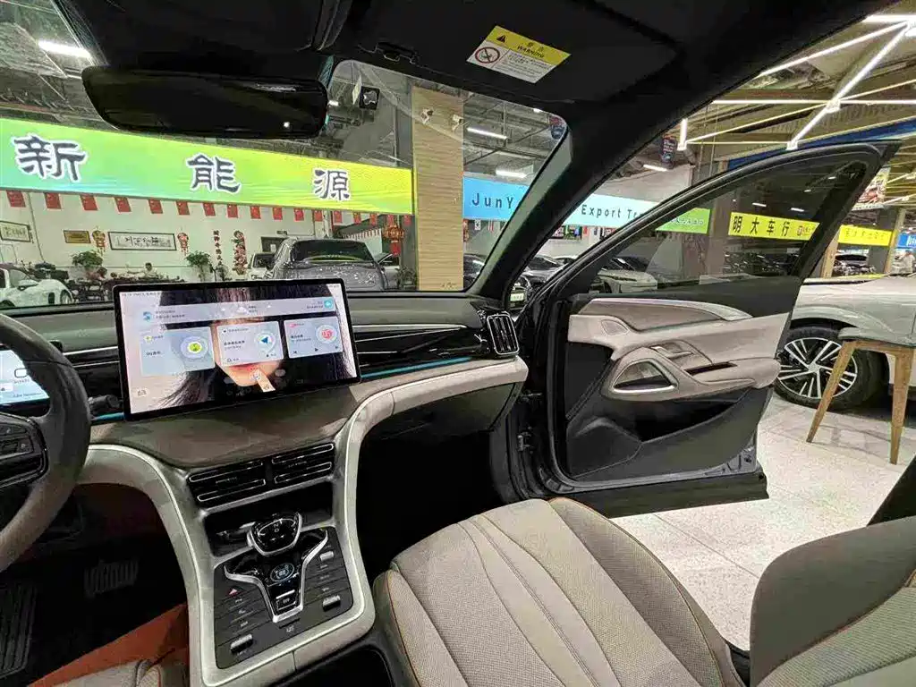 BYD Pro New Energy — фото 27
