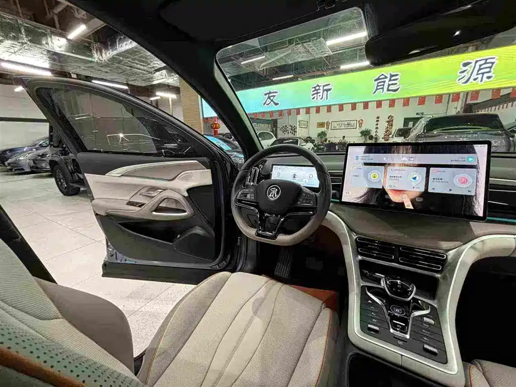 BYD Pro New Energy — фото 28