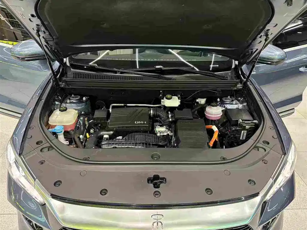 BYD Pro New Energy — фото 30