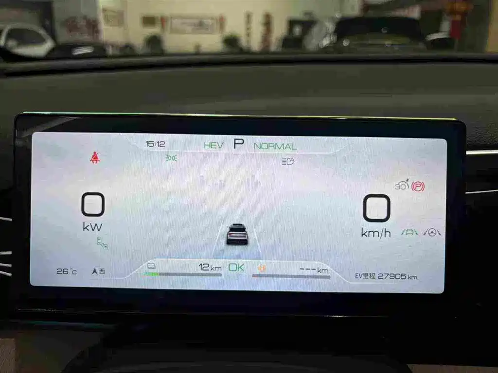 BYD Pro New Energy — фото 4