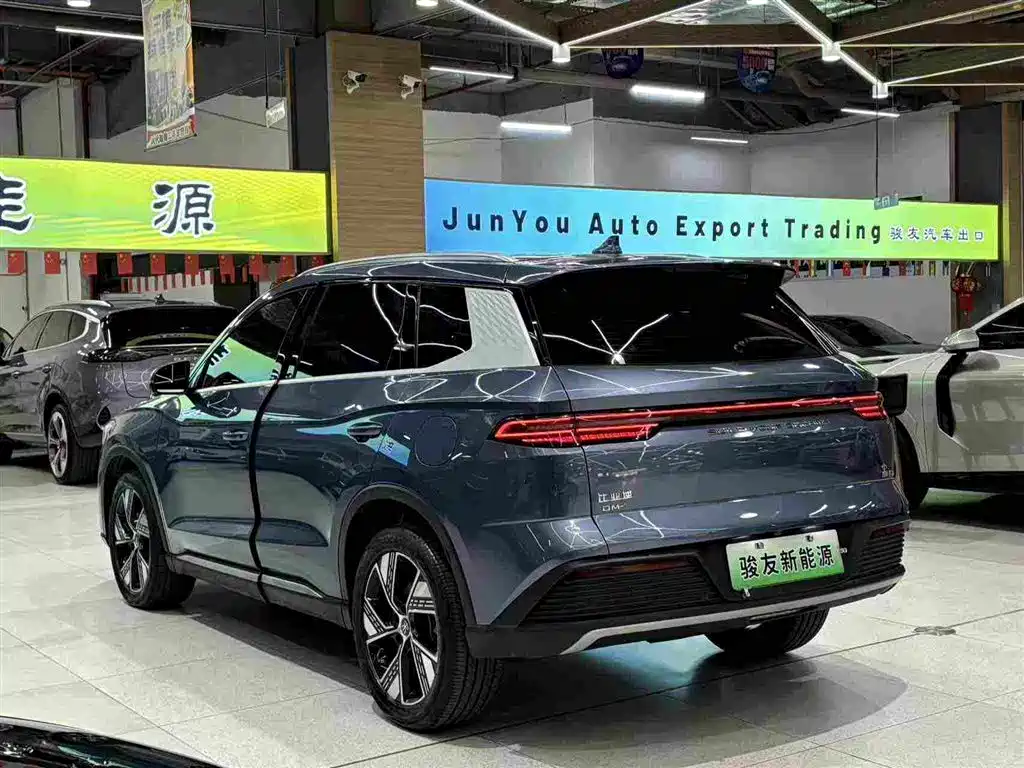 BYD Pro New Energy — фото 9
