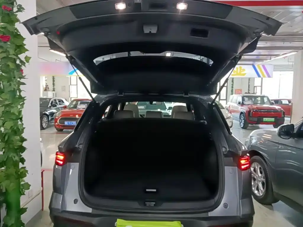 BYD Pro New Energy — фото 19