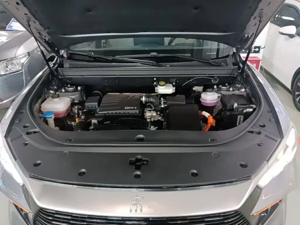 BYD Pro New Energy — фото 20