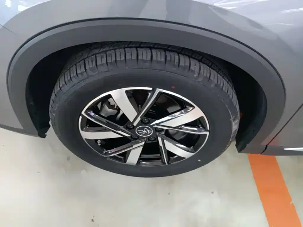 BYD Pro New Energy — фото 23