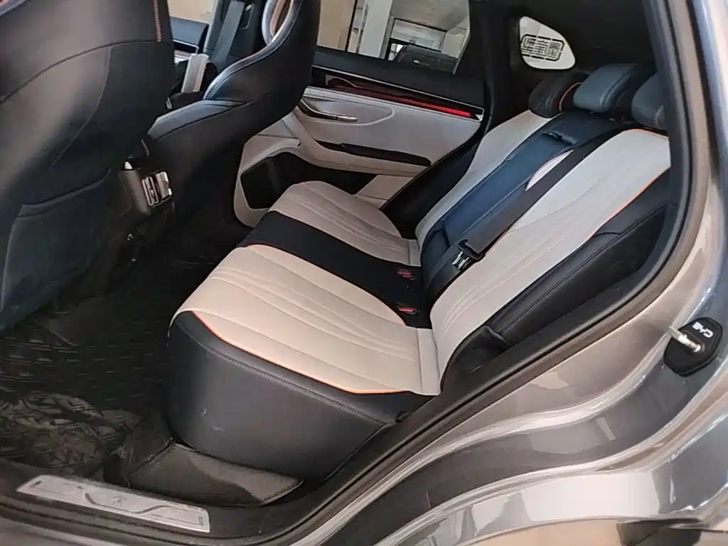 BYD PLUS New Energy — фото 17