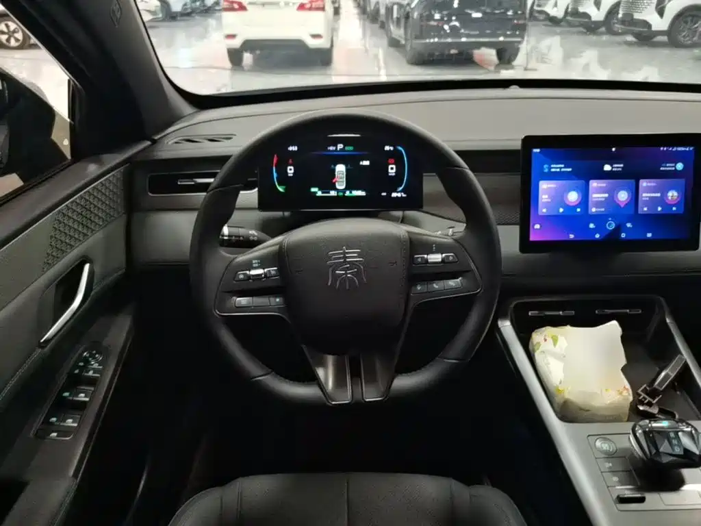 BYD Qin PLUS — фото 11