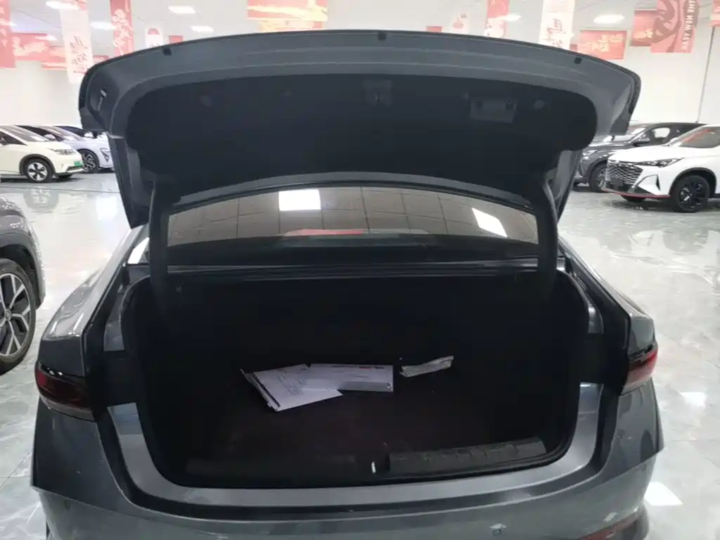 BYD Qin PLUS — фото 19