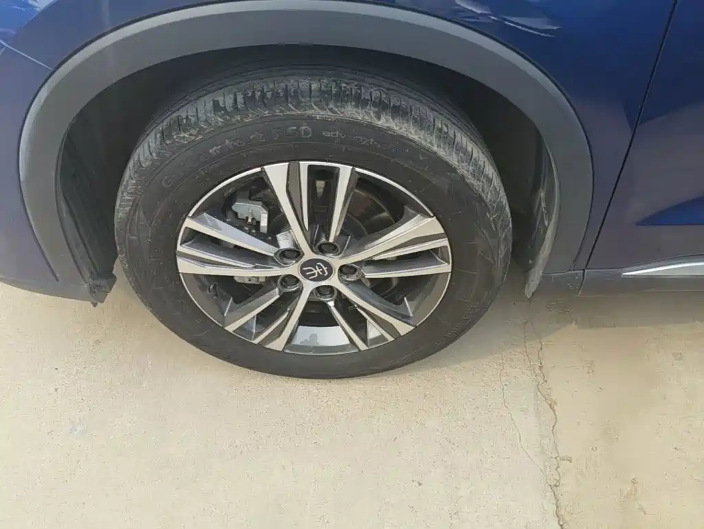 BYD Pro New Energy — фото 23
