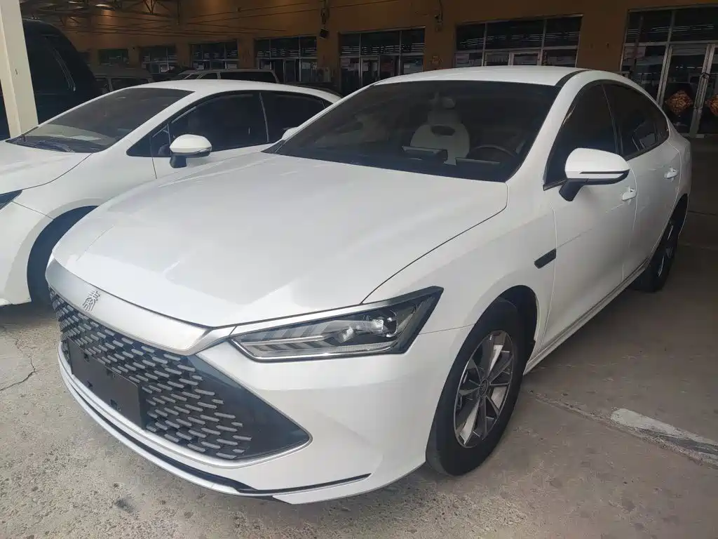 BYD Qin PLUS — фото 2