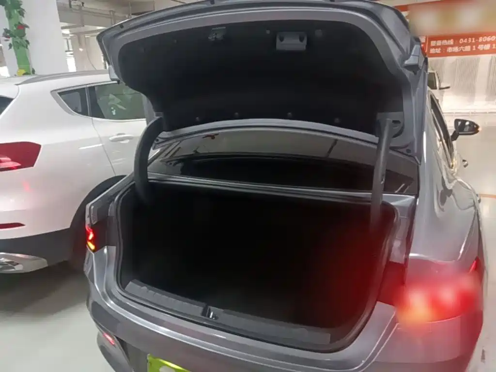 BYD Qin PLUS — фото 19