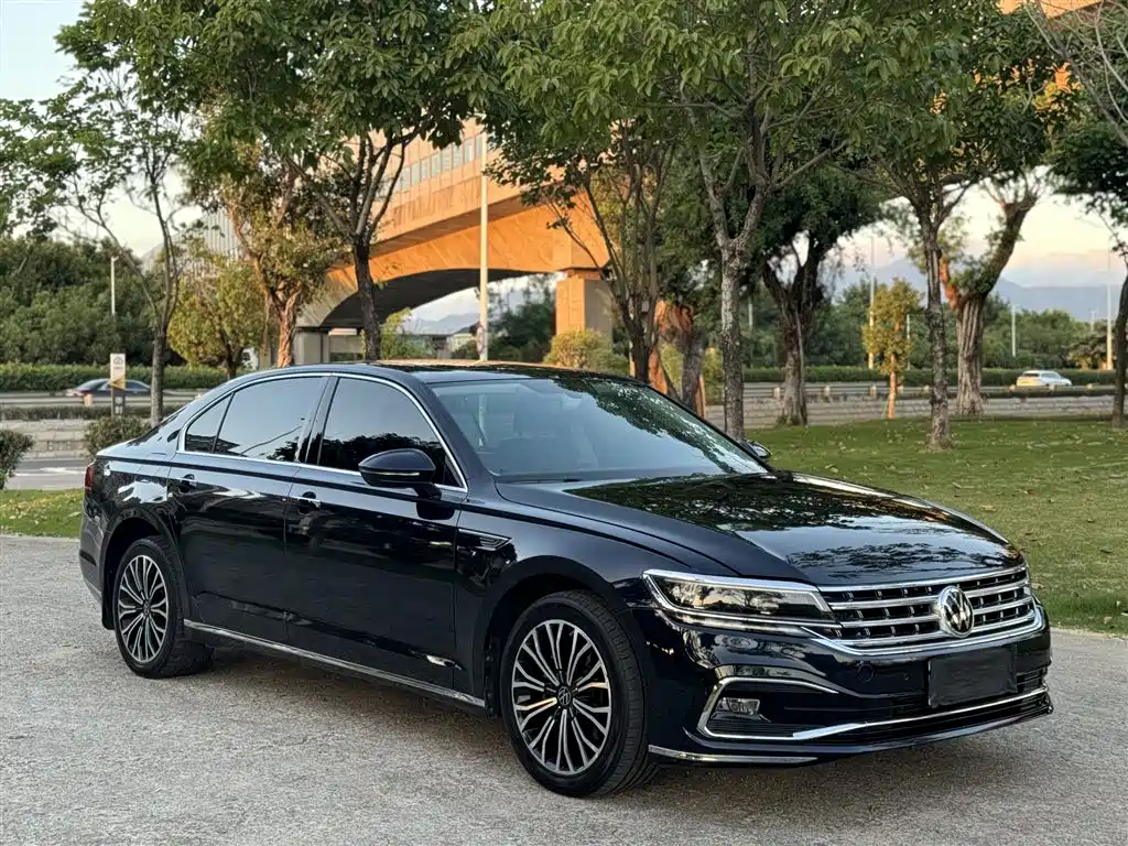 Volkswagen Phideon — фото 3