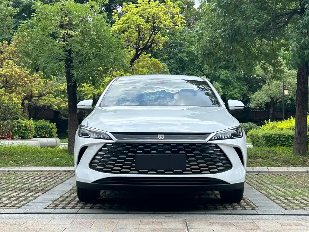 BYD Qin PLUS — фото 2