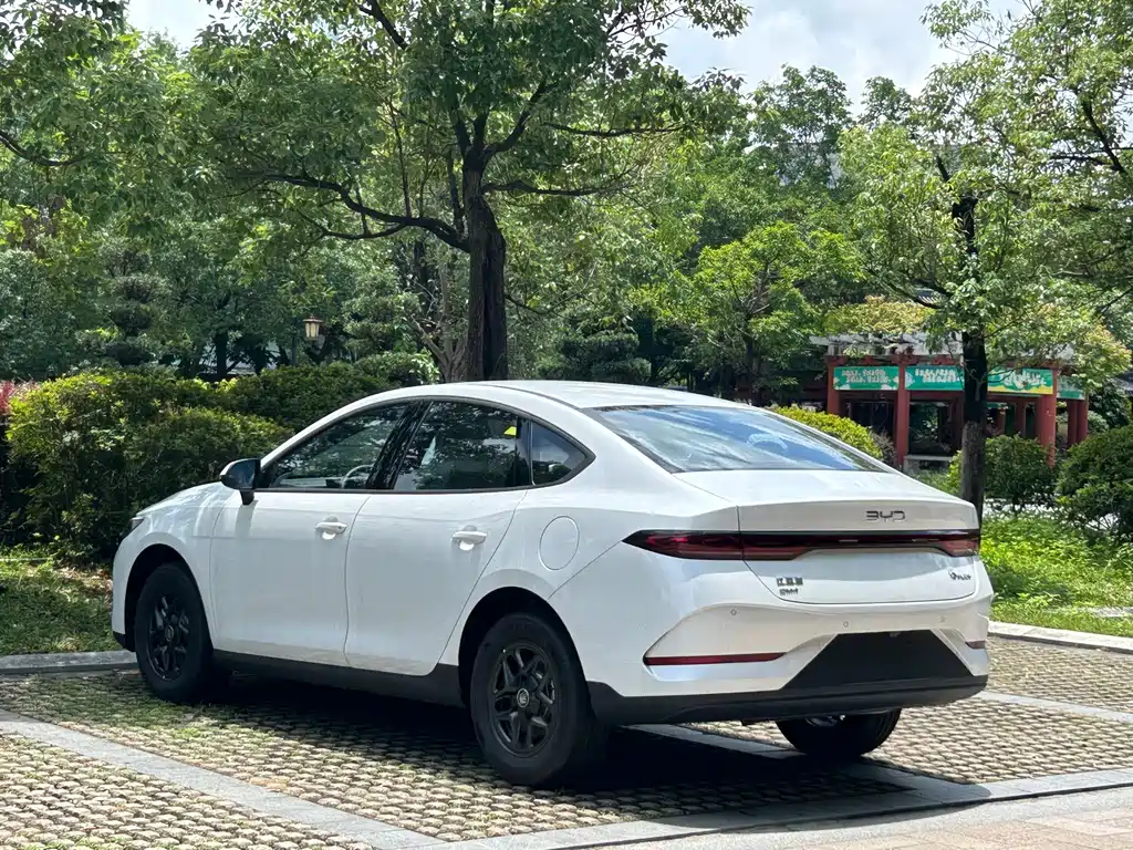 BYD Qin PLUS — фото 14