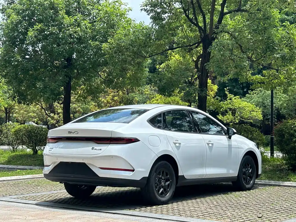 BYD Qin PLUS — фото 17
