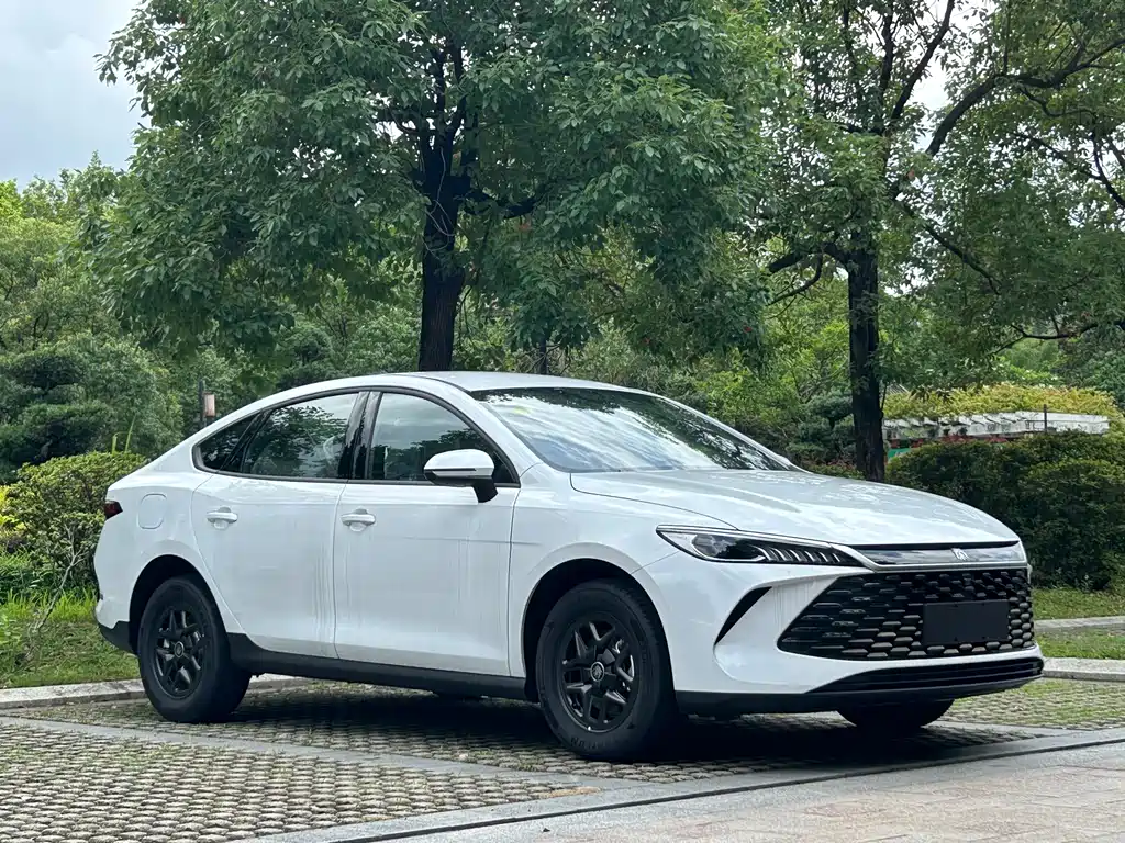 BYD Qin PLUS — фото 3