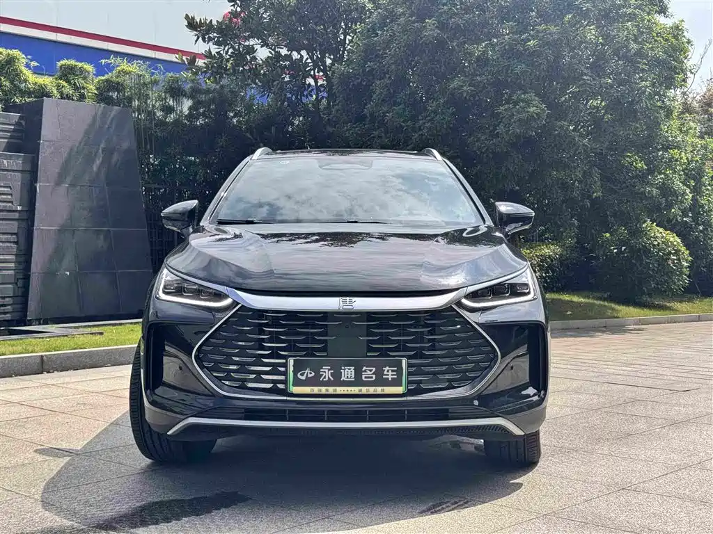 BYD Tang New Energy — фото 2
