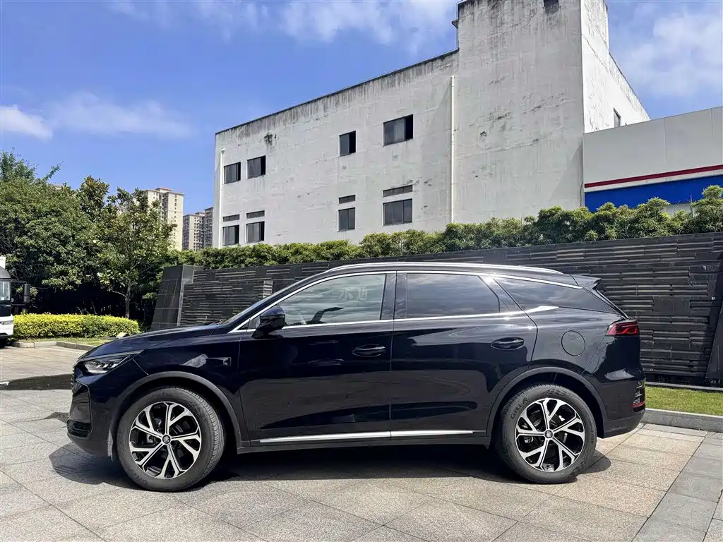 BYD Tang New Energy — фото 14