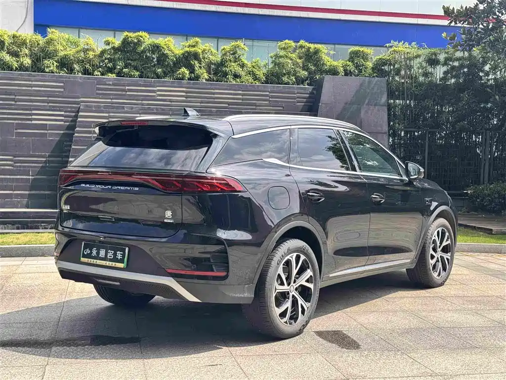 BYD Tang New Energy — фото 15