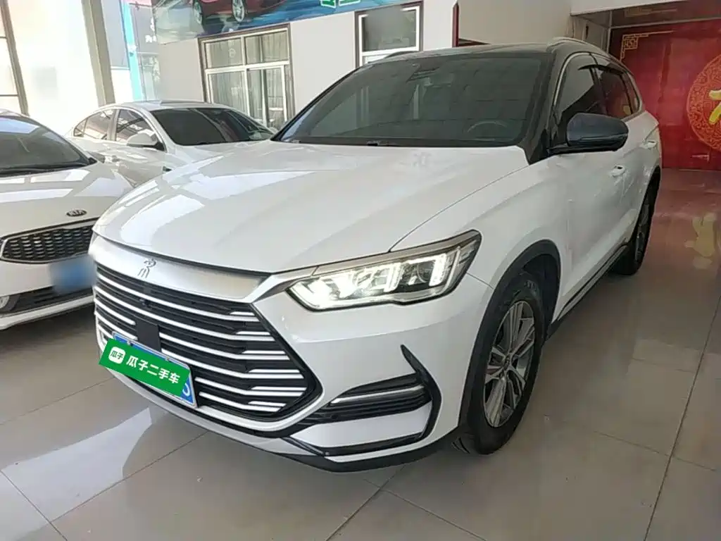 BYD Pro — фото 2