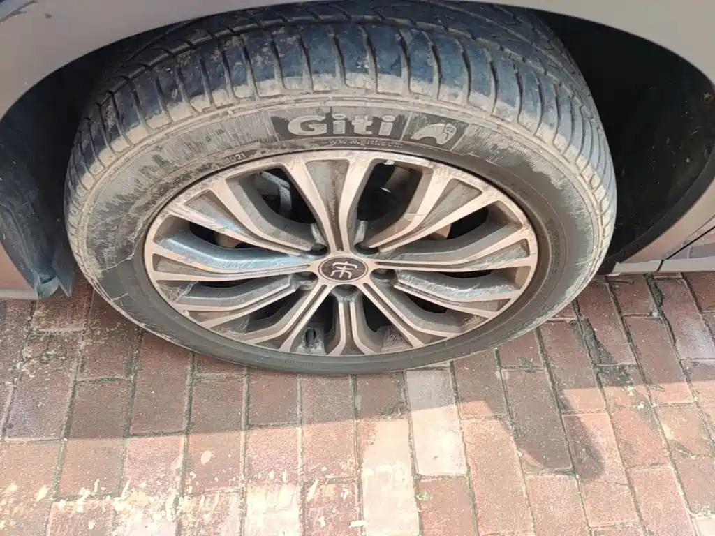 BYD Pro New Energy — фото 23