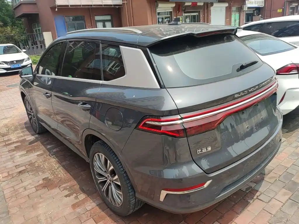 BYD Pro New Energy — фото 5
