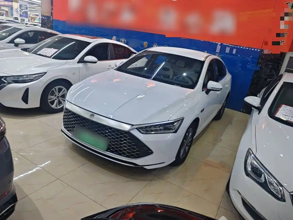 BYD Qin PLUS — фото 2