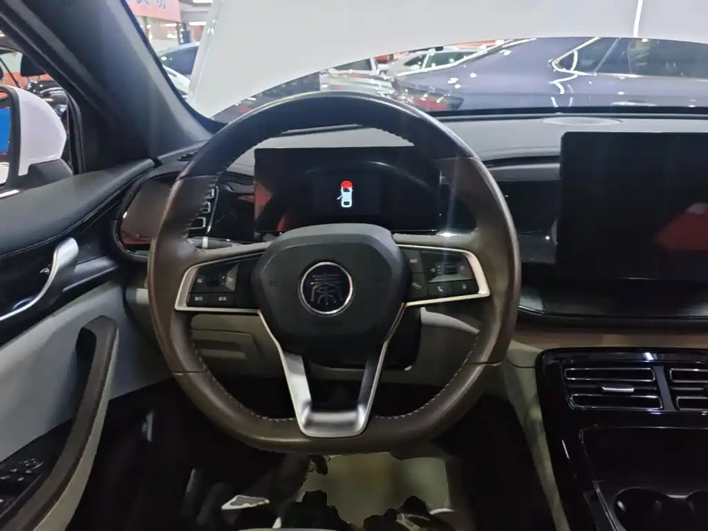 BYD Qin PLUS — фото 11
