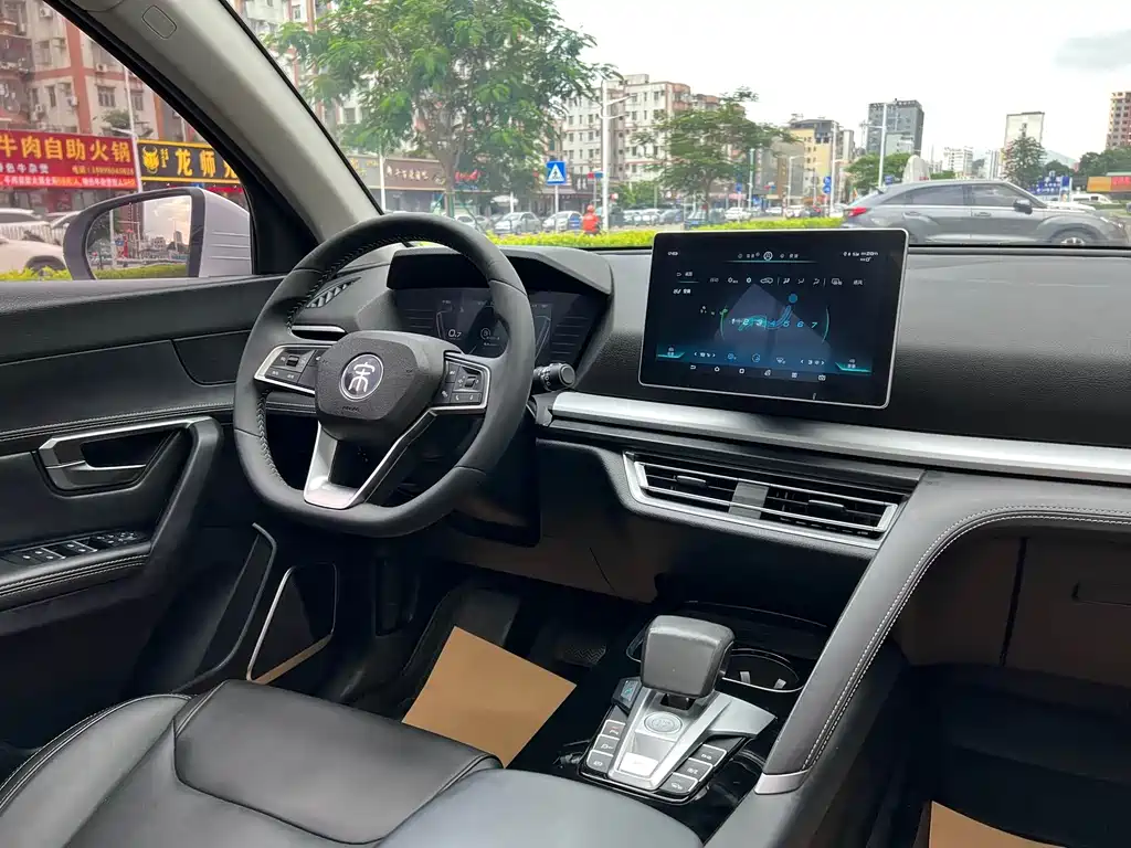 BYD Pro — фото 14