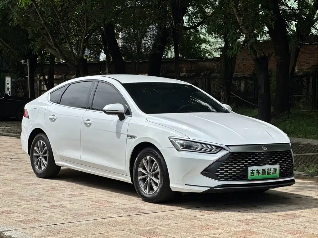 BYD Qin PLUS — фото 2