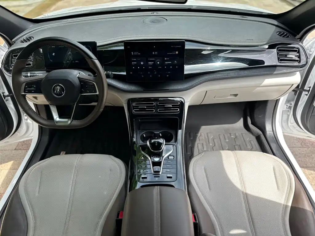 BYD Qin PLUS — фото 10