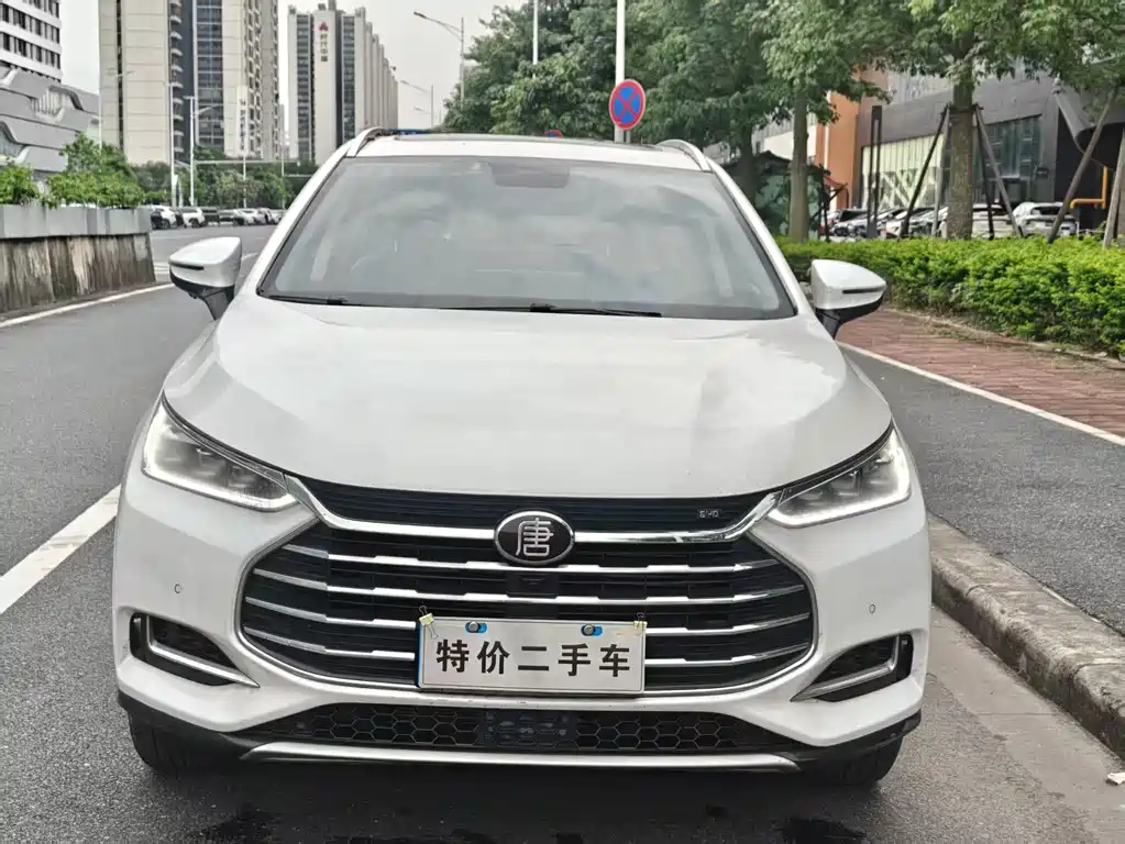 BYD Tang — фото 2
