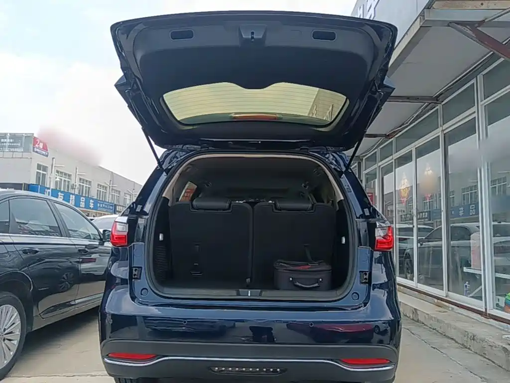 BYD MAX New Energy — фото 19